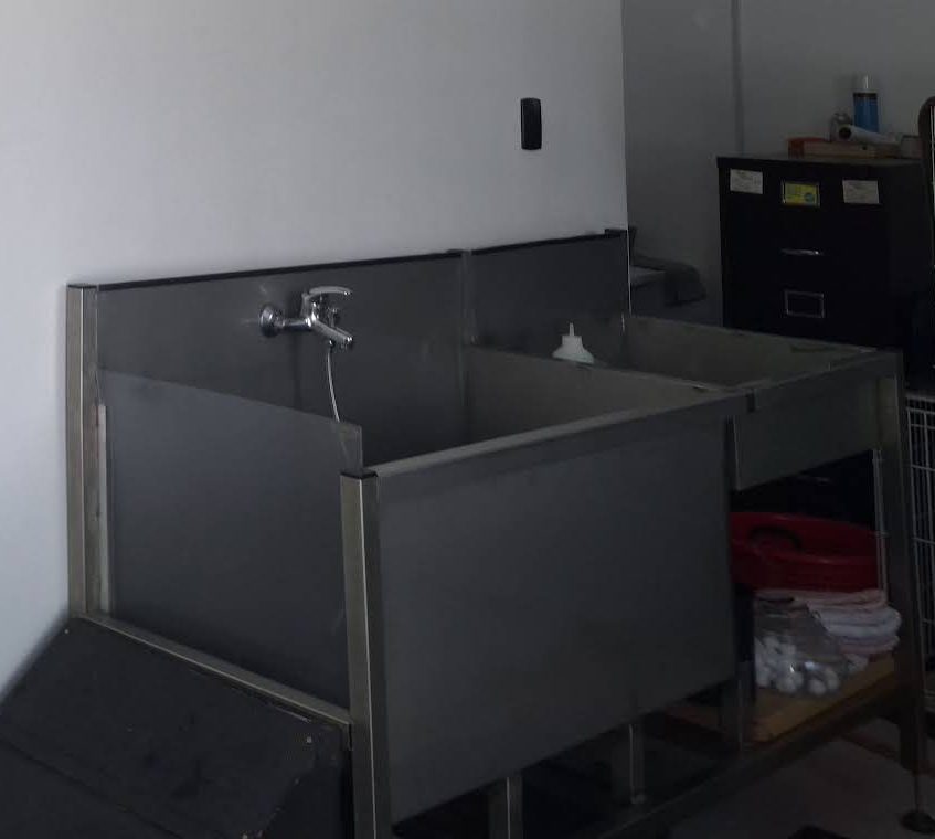 Stainless-steel wash tubs with a step up for bigger dogs